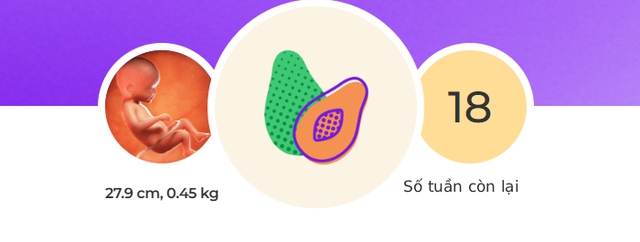 Tuần thai thứ 22: Giác quan của bé đã hoàn thiện, mẹ bắt đầu rạn da- Ảnh 1.