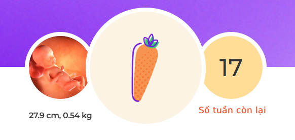 Tuần thai thứ 23: Bé tăng cân nhanh, mẹ bắt đầu có cơn co tử cung Braxton Hicks- Ảnh 1.