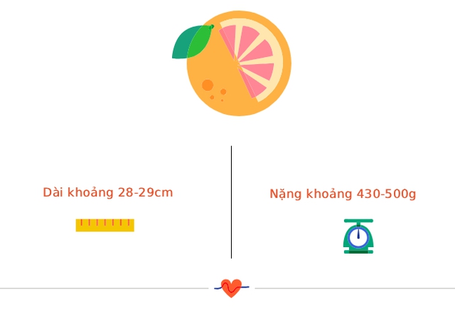 Tuần thai thứ 23: Bé tăng cân nhanh, mẹ bắt đầu có cơn co tử cung Braxton Hicks- Ảnh 2.