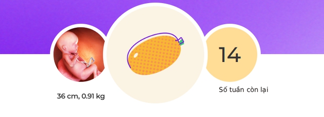 Tuần thai thứ 26: Bé yêu đã có thể mở mắt, còn mẹ bắt đầu khó ngủ- Ảnh 1.