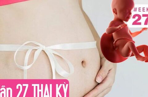Tuần thai thứ 27: Phổi bé dần hoàn thiện, thai kỳ bước vào tam cá nguyệt thứ ba