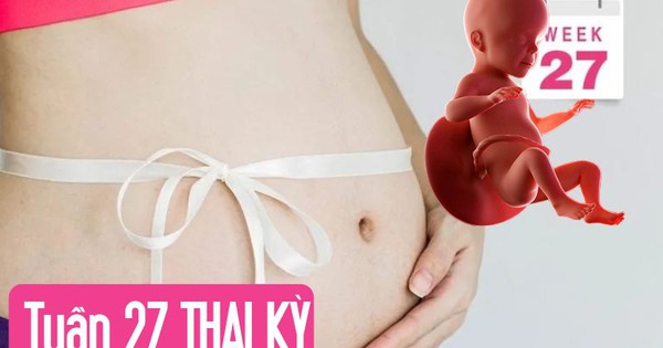 Tuần thai thứ 27: Phổi bé dần hoàn thiện, thai kỳ bước vào tam cá nguyệt thứ ba