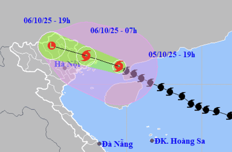 Tin bão số 11 Matmo mới nhất: Giật cấp 15, cách Quảng Ninh 150km, dự báo khu vực mưa to đến rất to khi bão đổ bộ