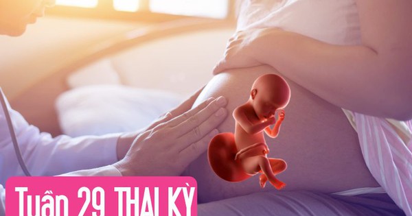 Tuần thai thứ 29: Bé yêu bắt đầu tập thở, mẹ dễ chuột rút do thai lớn
