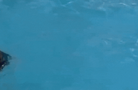 Thê thảm mỹ nhân showbiz Mạch Gia Kỳ bị tình cũ lừa chụp ảnh khỏa thân rồi phát tán để lại hậu quả khôn lường