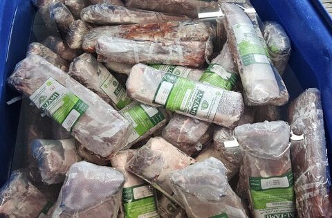 Hà Nội: Phát hiện “công nghệ” bơm tinh chất biến thịt trâu Ấn Độ thành 14 tấn bò WAGYU