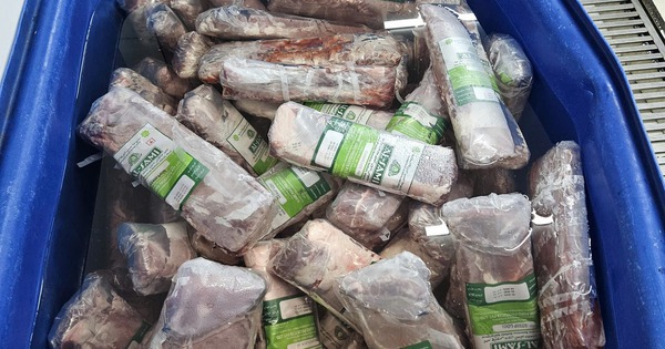 Hà Nội: Phát hiện “công nghệ” bơm tinh chất biến thịt trâu Ấn Độ thành 14 tấn bò WAGYU