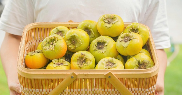 Mua hồng giòn về, không muốn ăn bị chát đắng thì cứ theo 4 mẹo này đảm bảo chín đều, ăn lại ngọt đậm đà