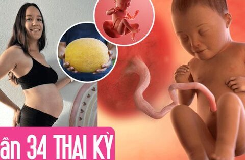 Tuần thai thứ 34: Mọi giác quan của bé đã hoàn thiện, mẹ thấy rõ áp lực lên sàn chậu
