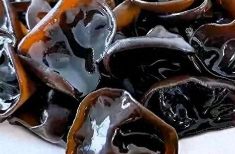 Đừng động đến 4 loại “thực phẩm chết người” này! Dù đã nấu chín kỹ, chúng vẫn có thể “giết” bạn