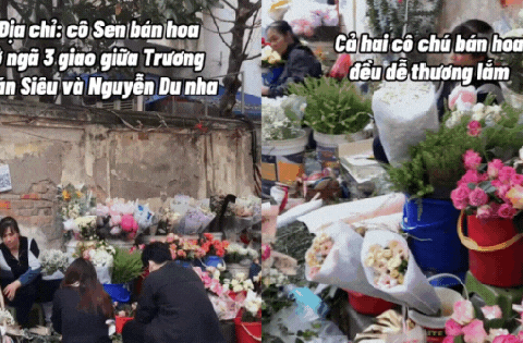 Không cần lên chợ hoa Quảng Bá: Có một “tọa độ hoa rẻ đẹp” đang khiến dân Hà Nội rần rần kéo đến check-in, mua vài bó là có ảnh nghìn like!