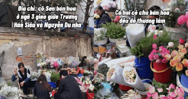 Không cần lên chợ hoa Quảng Bá: Có một “tọa độ hoa rẻ đẹp” đang khiến dân Hà Nội rần rần kéo đến check-in, mua vài bó là có ảnh nghìn like!