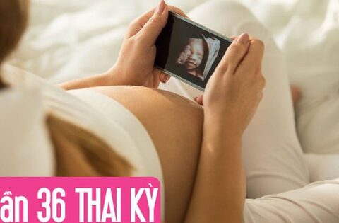 Tuần thai thứ 36: Bé yêu đã quay đầu, sẵn sàng chào đời