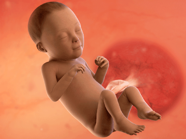 Tuần thai thứ 27: Phổi bé dần hoàn thiện, thai kỳ bước vào tam cá nguyệt thứ ba- Ảnh 6.