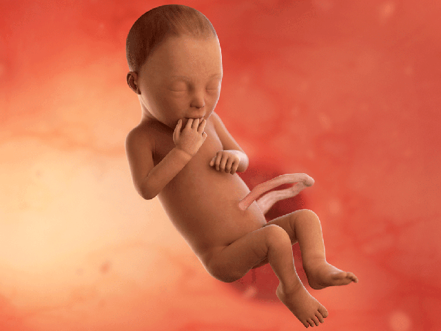 Tuần thai thứ 29: Bé yêu bắt đầu tập thở, mẹ dễ chuột rút do thai lớn- Ảnh 2.