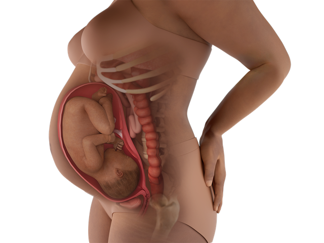 Tuần thai thứ 34: Mọi giác quan của bé đã hoàn thiện, mẹ thấy rõ áp lực lên sàn chậu- Ảnh 4.