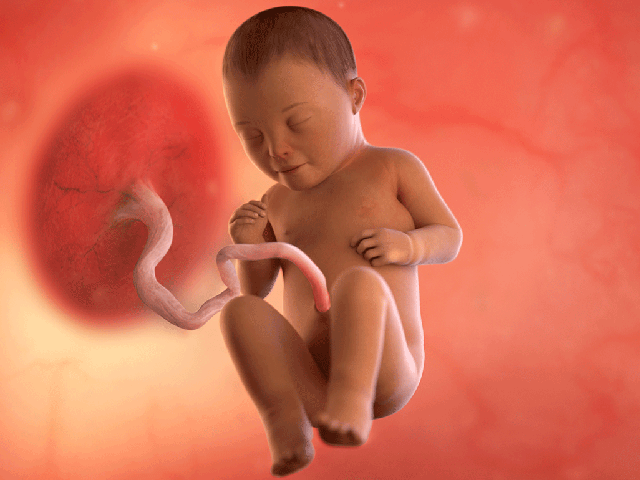 Tuần thai thứ 34: Mọi giác quan của bé đã hoàn thiện, mẹ thấy rõ áp lực lên sàn chậu- Ảnh 2.