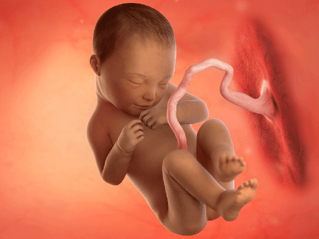 Tuần thai thứ 36: Bé yêu đã quay đầu, sẵn sàng chào đời- Ảnh 2.