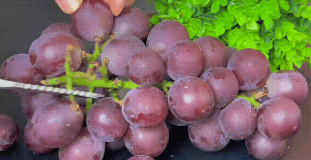 Dùng muối và baking soda rửa nho là sai, đây mới là cách đúng khiến trứng côn trùng cũng phải tự động 