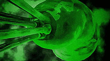 Những người yêu nhau có nguy cơ lây truyền vi khuẩn này cho nhau- Ảnh 1.