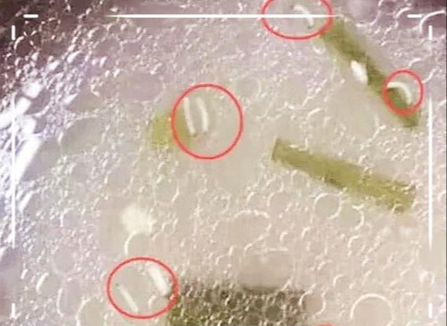 Giáo viên đăng ảnh bữa trưa rồi xoá sau 2 giây, phụ huynh tinh ý chụp lại: Đóng tiền cao, con ăn cái gì đây?- Ảnh 1.