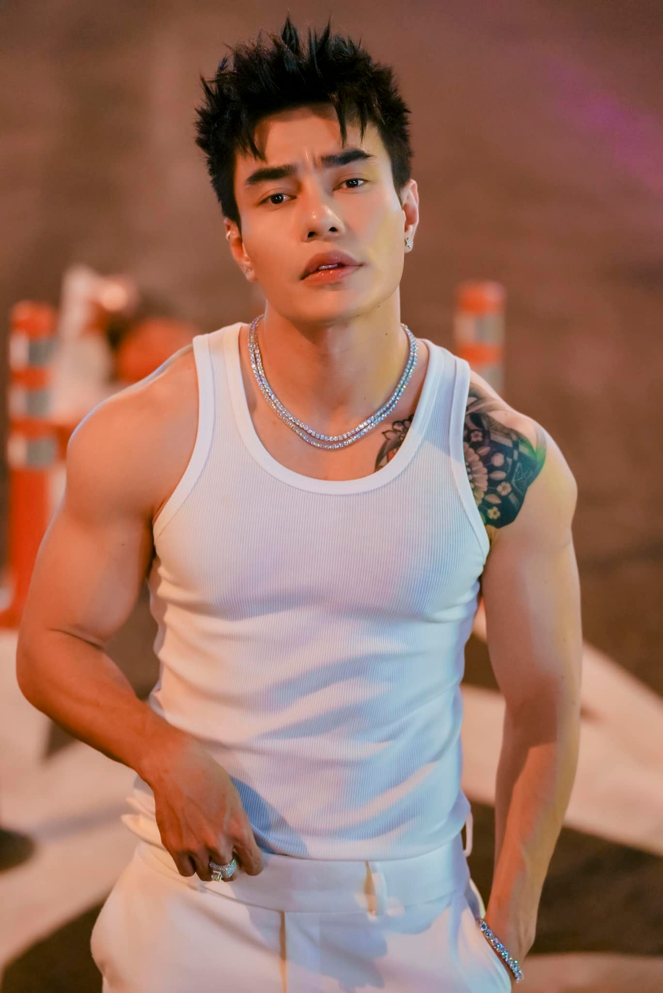 Lê Dương Bảo Lâm 