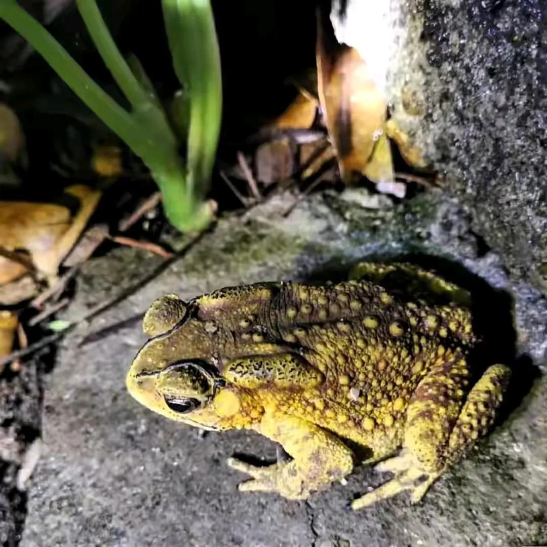 Đừng động đến 4 loại 