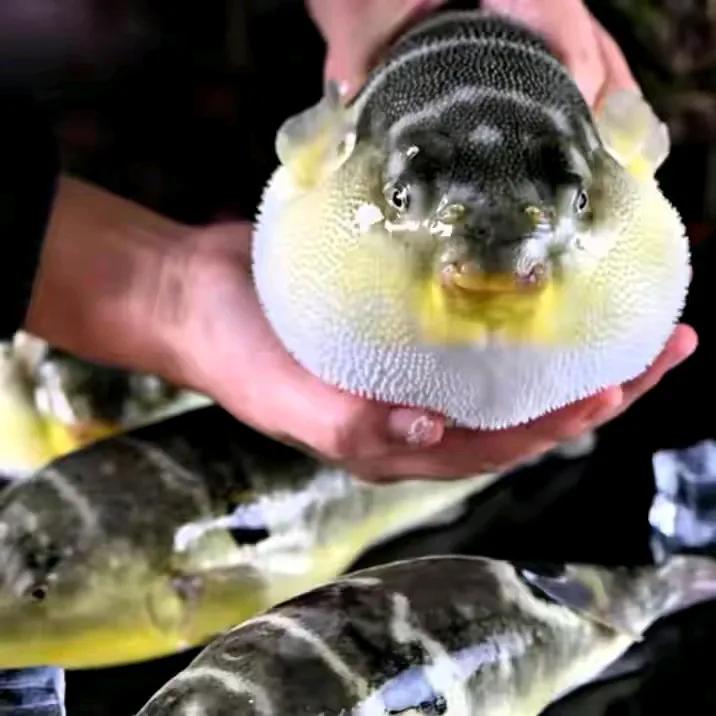 Đừng động đến 4 loại 