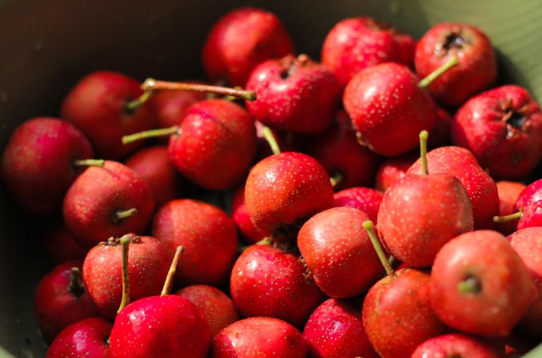 Nấu táo với thứ này tạo thành 