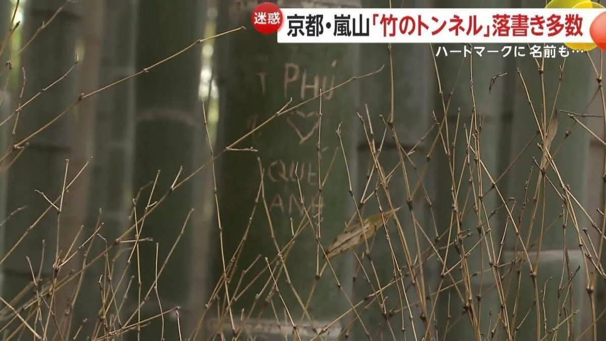 Rừng tre nổi tiếng Nhật Bản bị khắc chữ, trái tim chi chít- Ảnh 5.