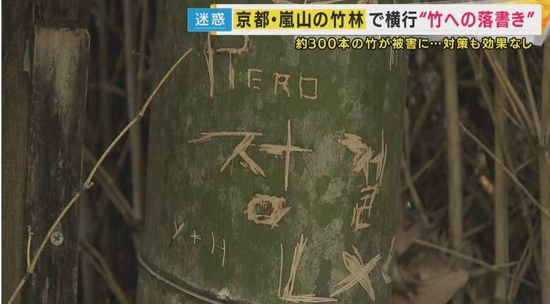 Rừng tre nổi tiếng Nhật Bản bị khắc chữ, trái tim chi chít- Ảnh 1.