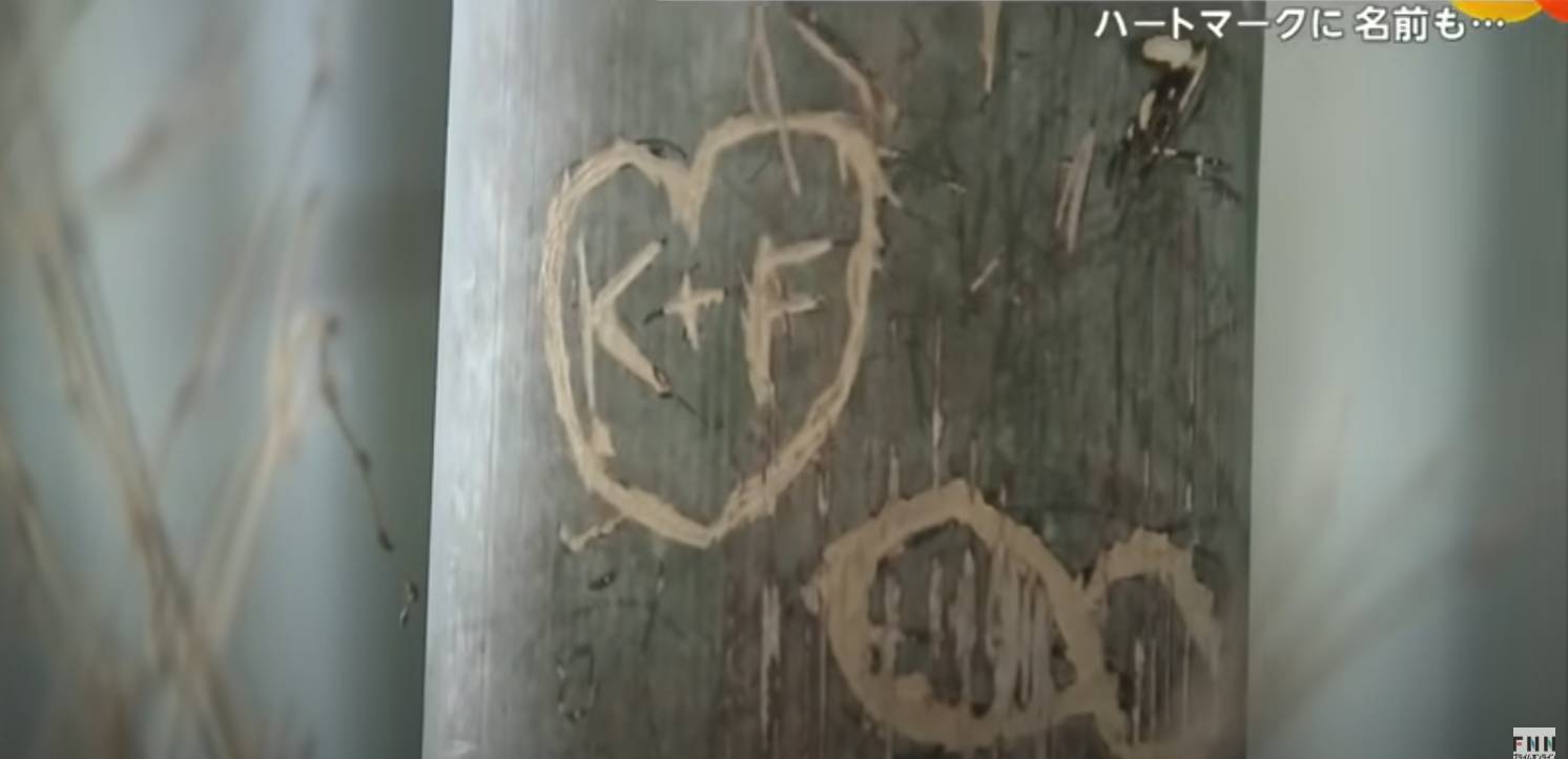 Rừng tre nổi tiếng Nhật Bản bị khắc chữ, trái tim chi chít- Ảnh 3.