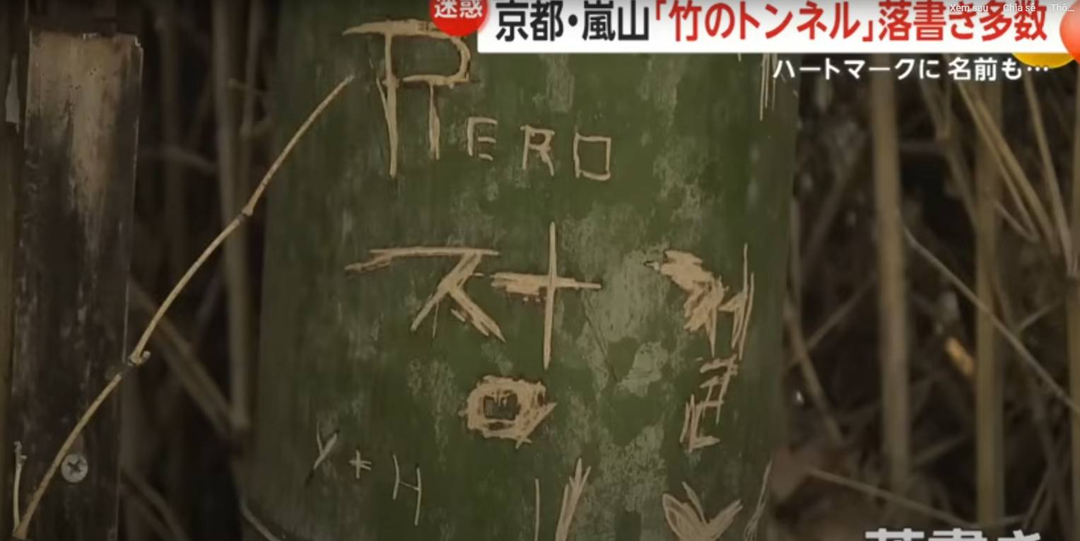 Rừng tre nổi tiếng Nhật Bản bị khắc chữ, trái tim chi chít- Ảnh 4.