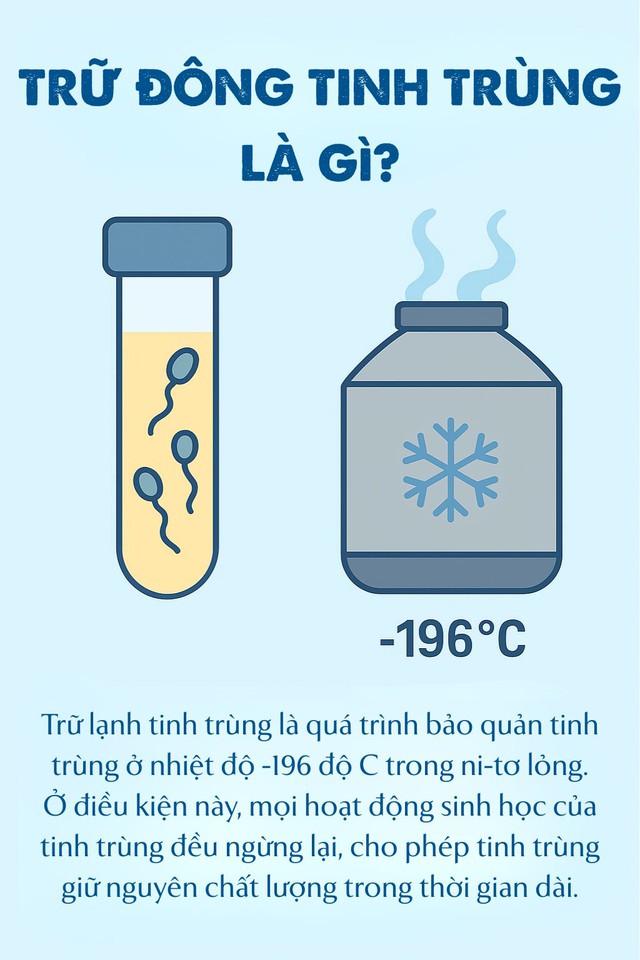 Trữ đông tinh trùng: Cách bảo toàn khả năng làm cha, 6 nhóm nam giới nên thực hiện- Ảnh 2.