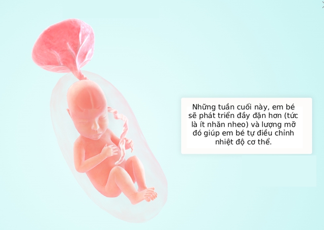 Tuần thai thứ 27: Phổi bé dần hoàn thiện, thai kỳ bước vào tam cá nguyệt thứ ba- Ảnh 5.