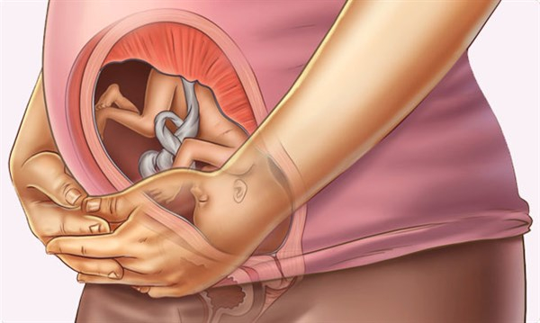 Tuần thai thứ 27: Phổi bé dần hoàn thiện, thai kỳ bước vào tam cá nguyệt thứ ba- Ảnh 8.