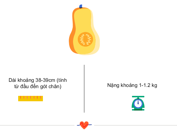 Tuần thai thứ 29: Bé yêu bắt đầu tập thở, mẹ dễ chuột rút do thai lớn- Ảnh 3.