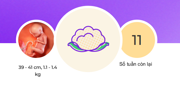 Tuần thai thứ 29: Bé yêu bắt đầu tập thở, mẹ dễ chuột rút do thai lớn- Ảnh 1.