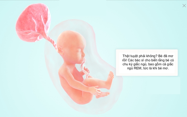 Tuần thai thứ 29: Bé yêu bắt đầu tập thở, mẹ dễ chuột rút do thai lớn- Ảnh 5.