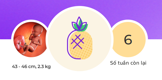 Tuần thai thứ 34: Mọi giác quan của bé đã hoàn thiện, mẹ thấy rõ áp lực lên sàn chậu- Ảnh 1.