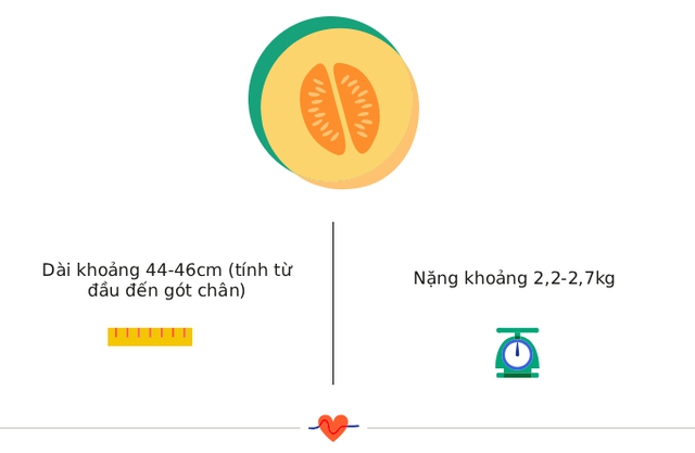 Tuần thai thứ 34: Mọi giác quan của bé đã hoàn thiện, mẹ thấy rõ áp lực lên sàn chậu- Ảnh 3.