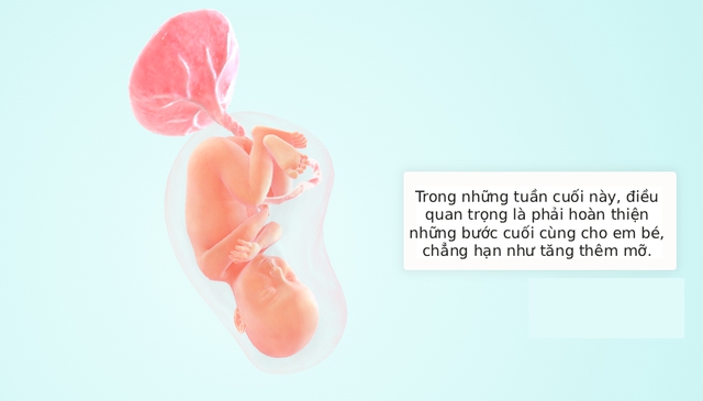 Tuần thai thứ 34: Mọi giác quan của bé đã hoàn thiện, mẹ thấy rõ áp lực lên sàn chậu- Ảnh 5.
