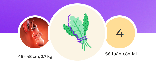 Tuần thai thứ 36: Bé yêu đã quay đầu, sẵn sàng chào đời- Ảnh 1.