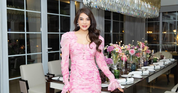 Trước khi bị bắt, diễn viên Trương Ngọc Ánh từng phải bán tài sản để trả nợ