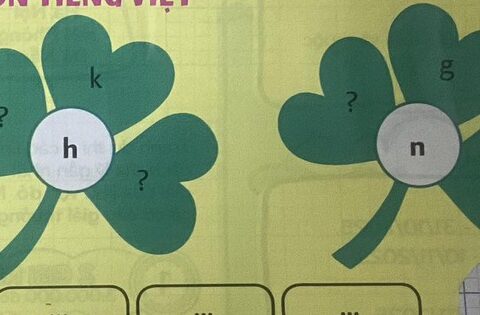 Bài tập tiếng Việt lớp 1 đang khiến phụ huynh TP.HCM “loạn não” vì không hiểu yêu cầu: Thực tế lại quá bất ngờ