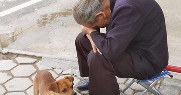 3 hình thức “bất hiếu” mới đang lan rộng, nhiều cha mẹ âm thầm chịu đựng, còn “cắn răng” ca ngợi con cái!