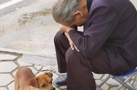 3 hình thức “bất hiếu” mới đang lan rộng, nhiều cha mẹ âm thầm chịu đựng, còn “cắn răng” ca ngợi con cái!