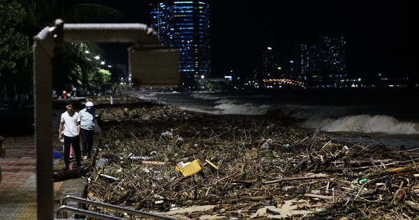 Cảnh tượng không thể tin nổi dọc bãi biển đẹp nhất Nha Trang