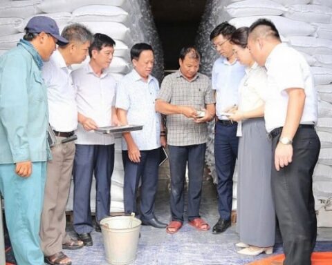 Hoàn thành nhập kho dự trữ quốc gia 500.000 tấn lương thực