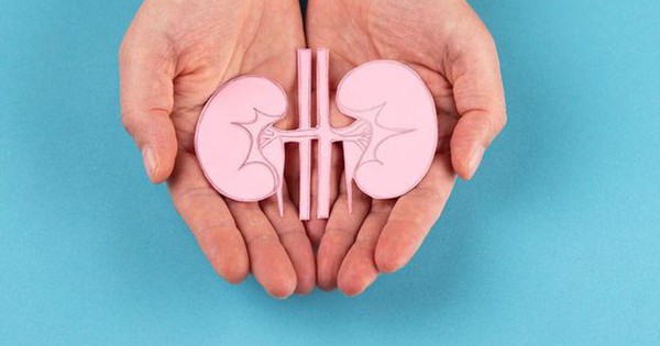 Dinh dưỡng chuyên biệt cho người bệnh thận – Giảm gánh nặng chuyển hóa, tăng cường hồi phục